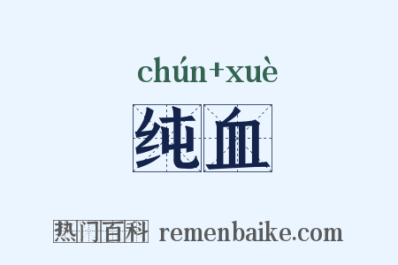 纯血是什么意思的图片